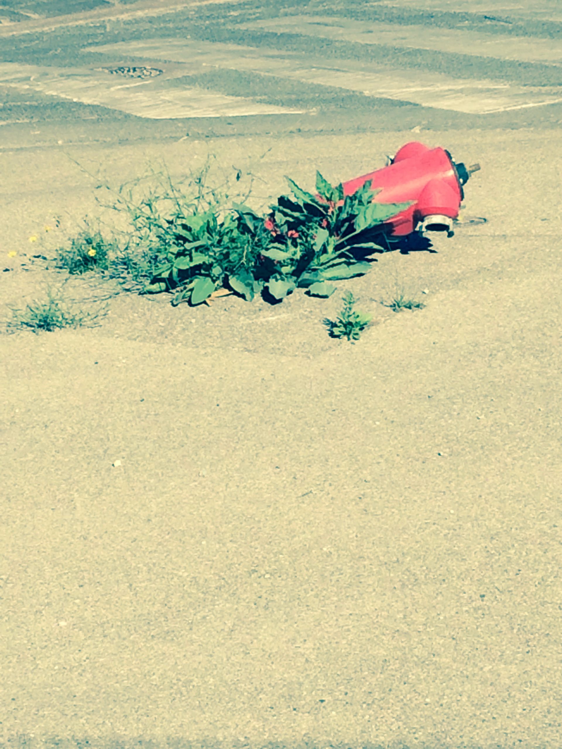 Dehors, photographie 13