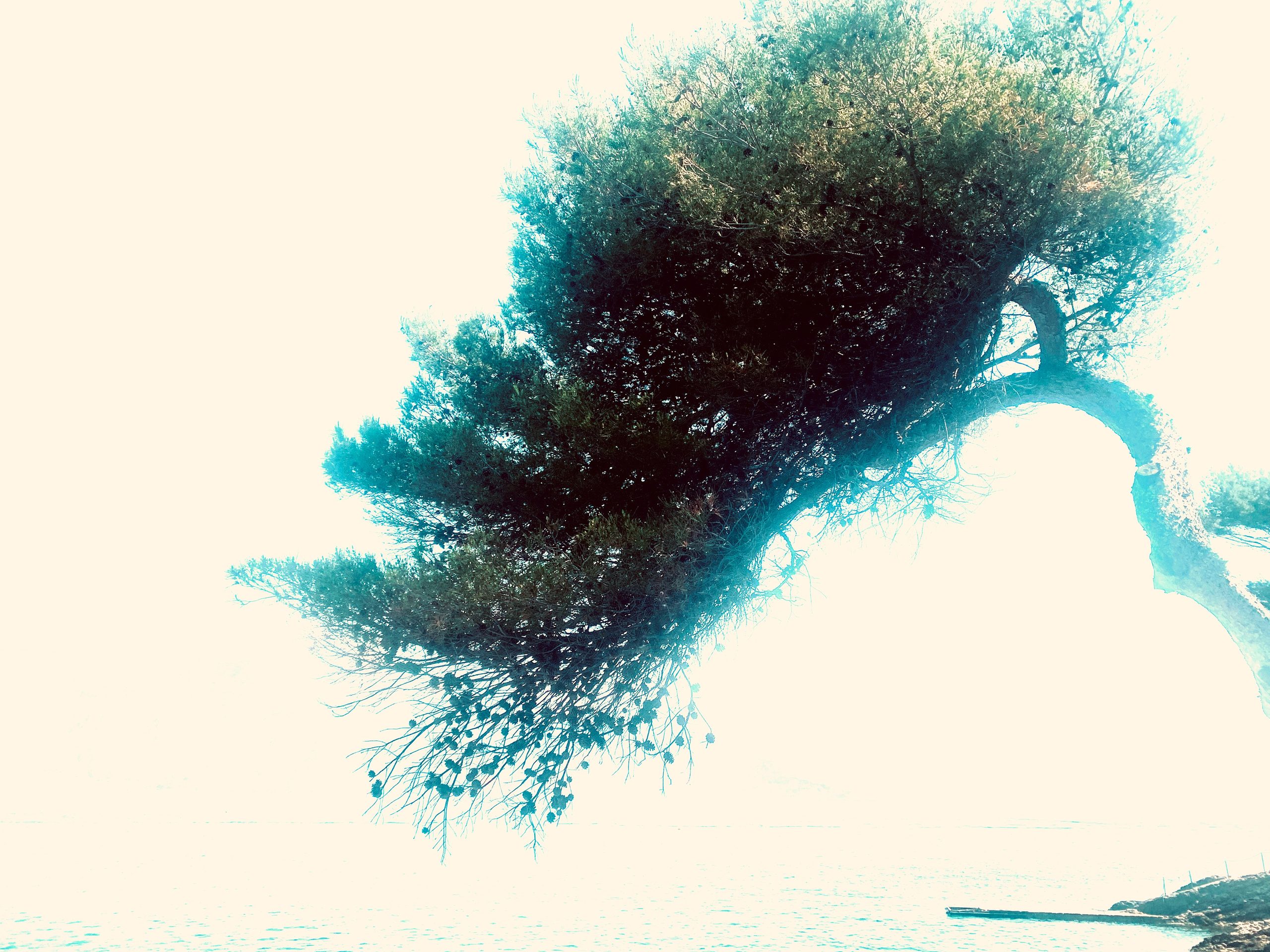 Dehors, photographie 3