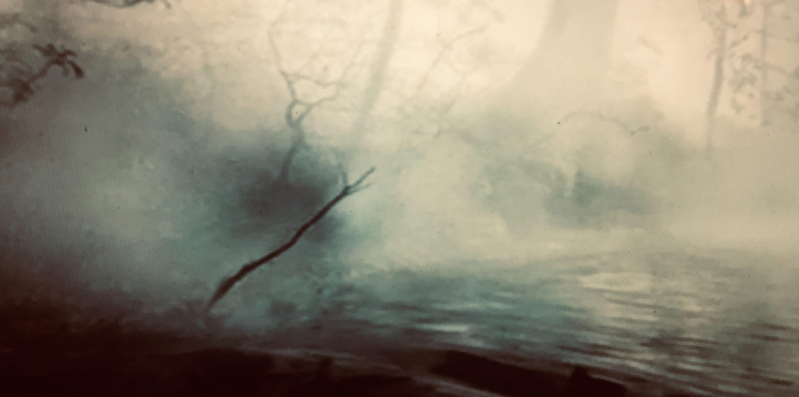 Des flous, photographie 8